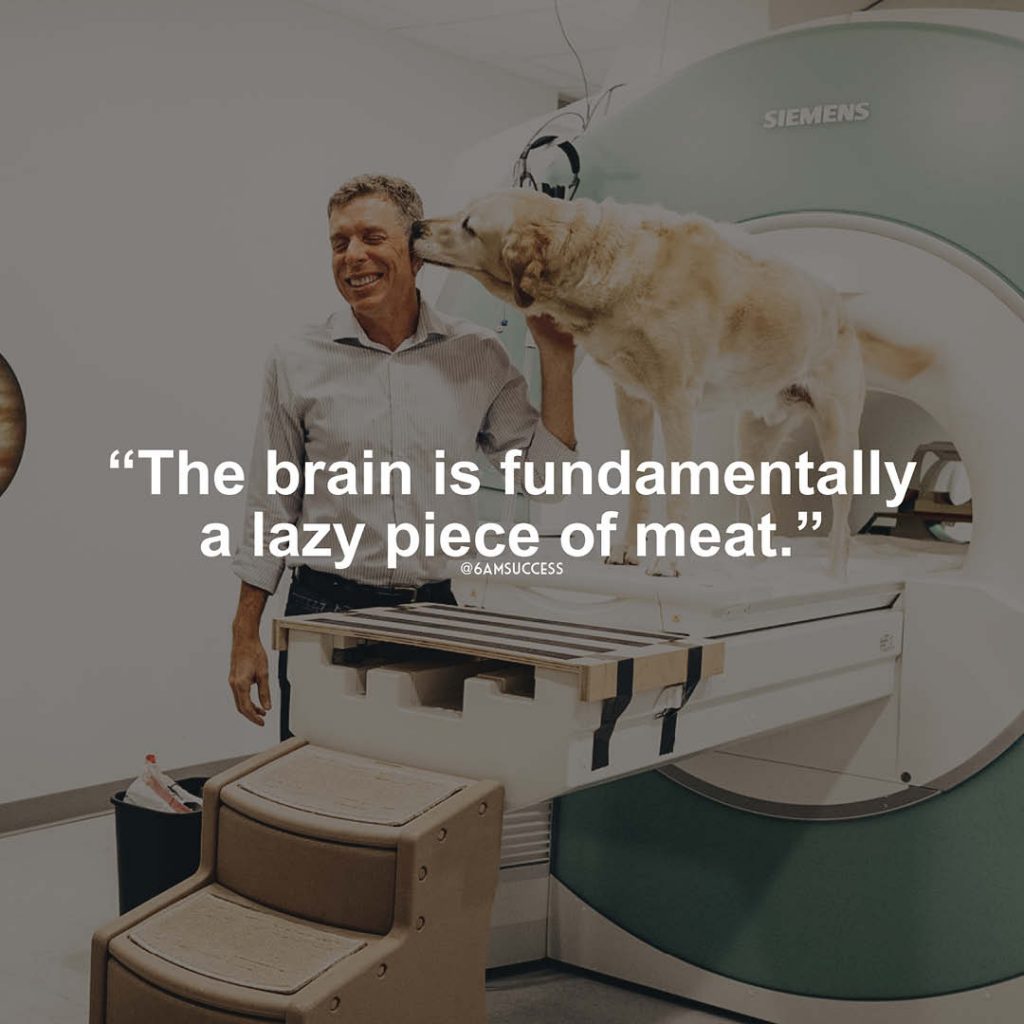 "The brain is fundamentally a lazy piece of meat." - Dr. Gregory Berns