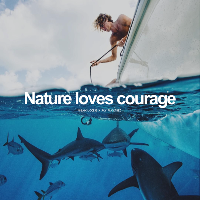 Nature loves courage