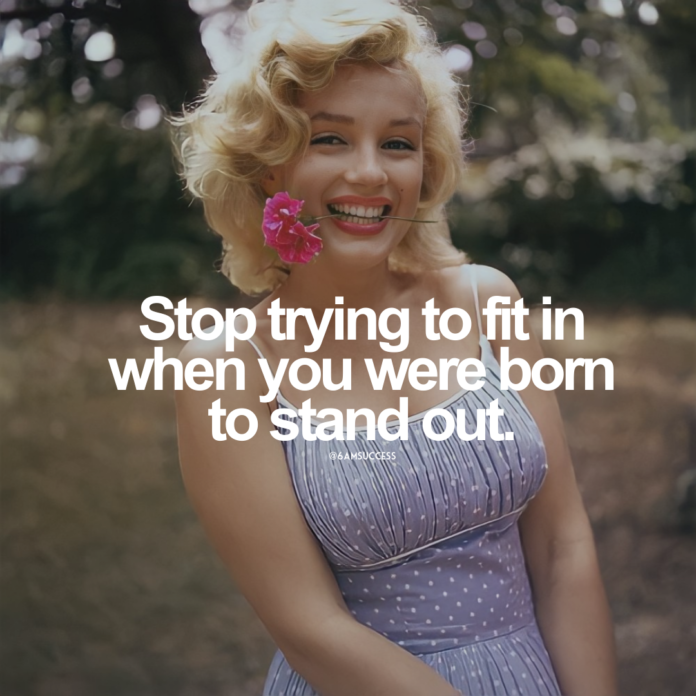 Stop trying to fit in when you were born to stand out,