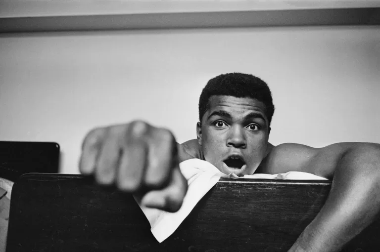 Master the Art of Staying Motivated